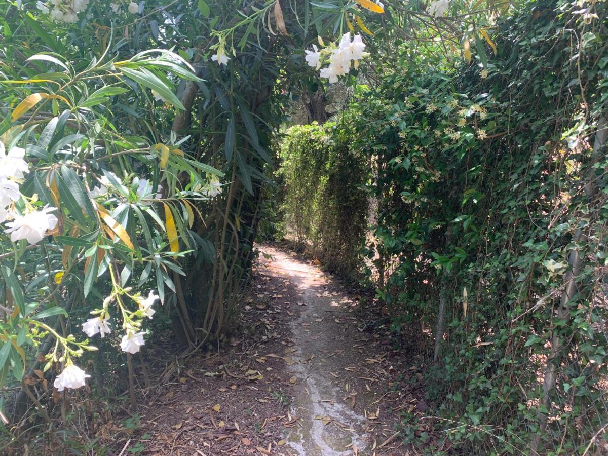 Villa Serena Nisaki  Bagian luar foto